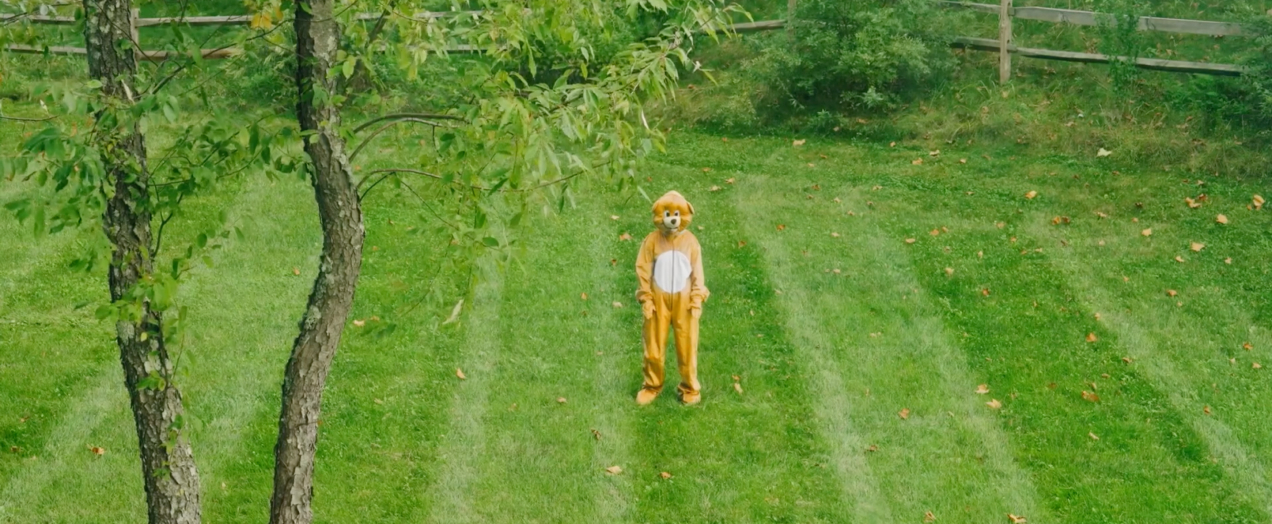 Screenshot from Trip Upstate of a person in a bear costume standing in a field